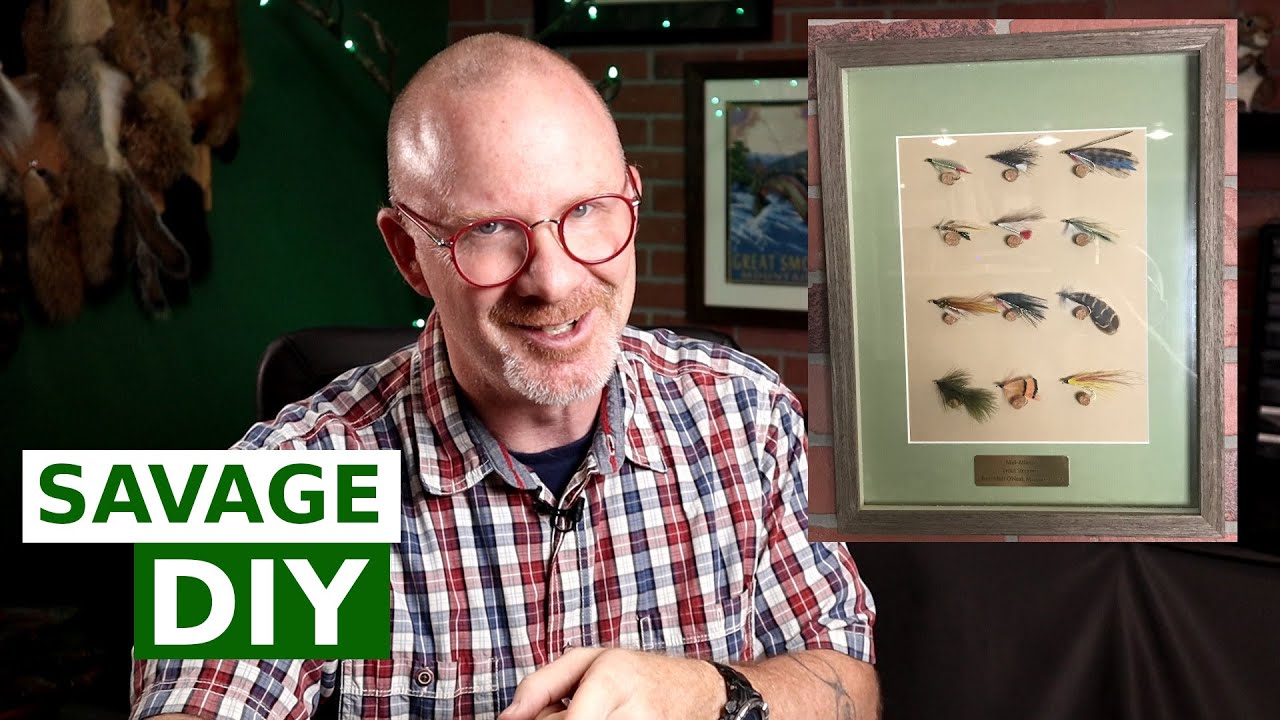 how to display seashells in a shadow box